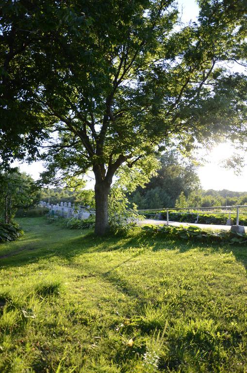 Tobisviks Camping Simrishamn Exterior foto